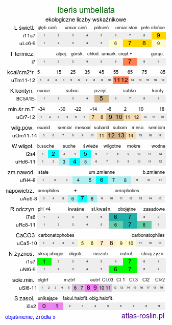ekologiczne liczby wskaźnikowe Iberis umbellata (ubiorek tarczkowy)