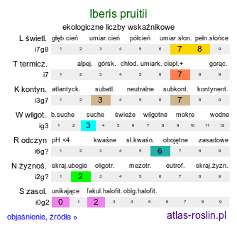 ekologiczne liczby wskaźnikowe Iberis pruitii (ubiorek Pruita)