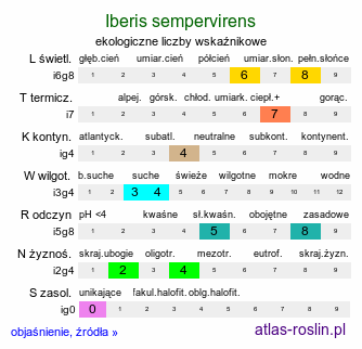 ekologiczne liczby wskaźnikowe Iberis sempervirens (ubiorek wiecznie zielony)