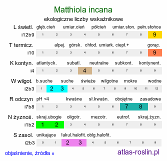 ekologiczne liczby wskaźnikowe Matthiola incana (lewkonia letnia)