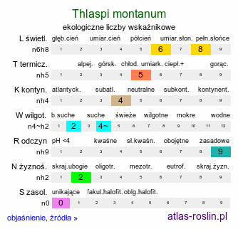 ekologiczne liczby wskaźnikowe Thlaspi montanum (tobołki górskie)