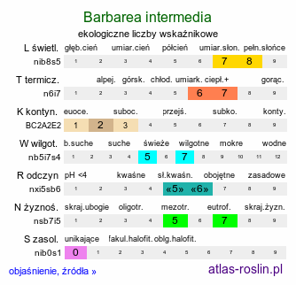 ekologiczne liczby wskaźnikowe Barbarea intermedia (gorczycznik pośredni)