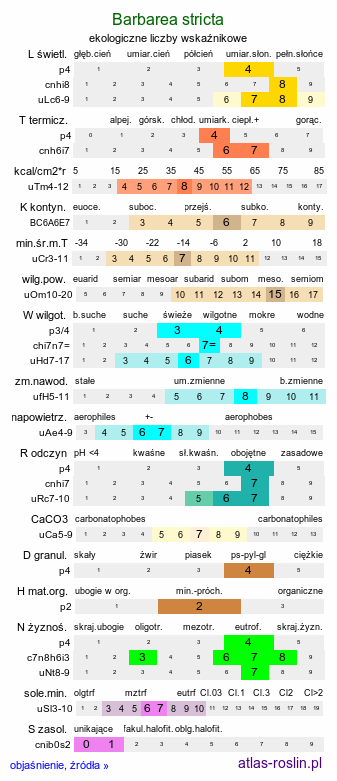 ekologiczne liczby wskaźnikowe Barbarea stricta (gorczycznik prosty)