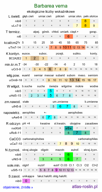ekologiczne liczby wskaźnikowe Barbarea verna (gorczycznik wiosenny)