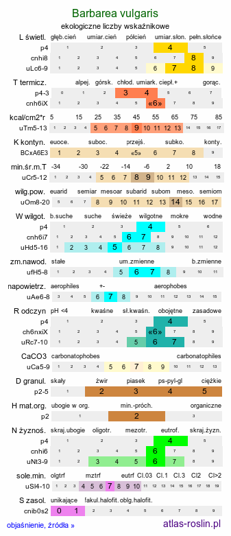 ekologiczne liczby wskaźnikowe Barbarea vulgaris (gorczycznik pospolity)