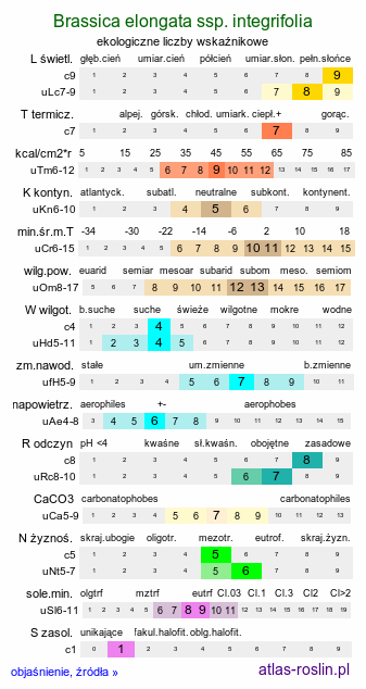 ekologiczne liczby wskaźnikowe Brassica elongata ssp. integrifolia (kapusta chrzanolistna całolistna)