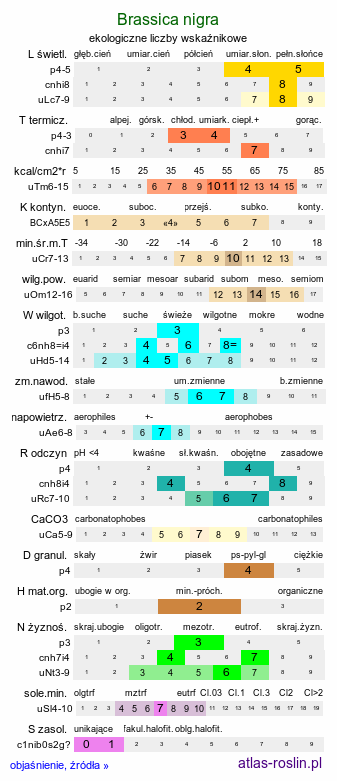 ekologiczne liczby wskaźnikowe Brassica nigra (kapusta czarna)