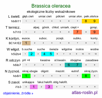 ekologiczne liczby wskaźnikowe Brassica oleracea (kapusta warzywna)