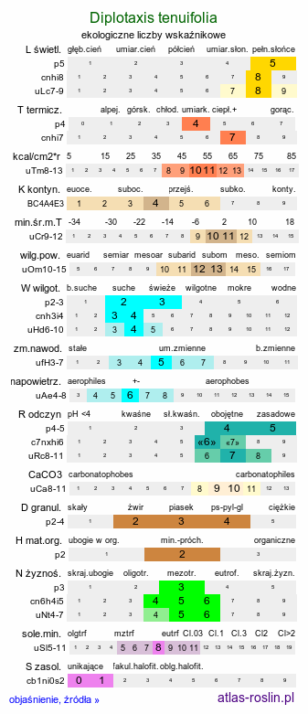 ekologiczne liczby wskaźnikowe Diplotaxis tenuifolia (dwurząd wąskolistny)