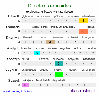 ekologiczne liczby wskaźnikowe Diplotaxis erucoides (dwurząd rokiettowaty)