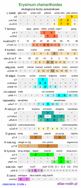 ekologiczne liczby wskaźnikowe Erysimum cheiranthoides (pszonak drobnokwiatowy)