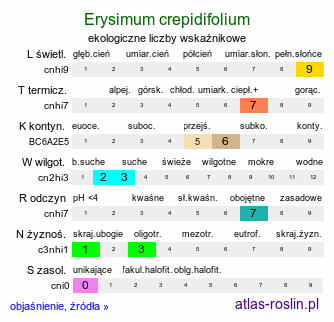 ekologiczne liczby wskaźnikowe Erysimum crepidifolium (pszonak pępawolistny)