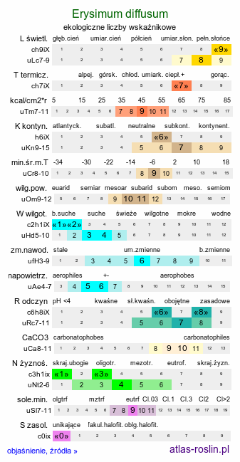 ekologiczne liczby wskaźnikowe Erysimum diffusum (pszonak siwy)