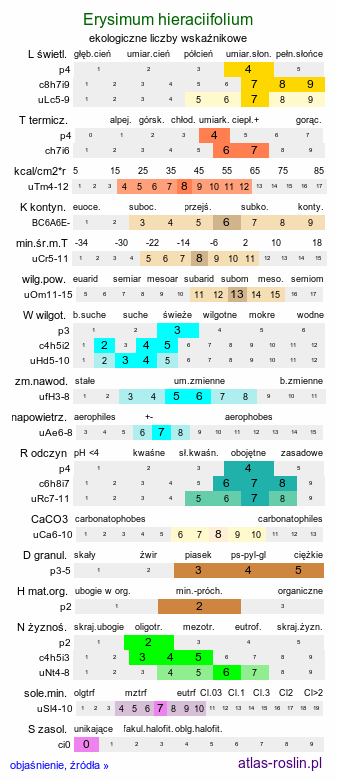 ekologiczne liczby wskaźnikowe Erysimum hieraciifolium (pszonak jastrzębcolistny)