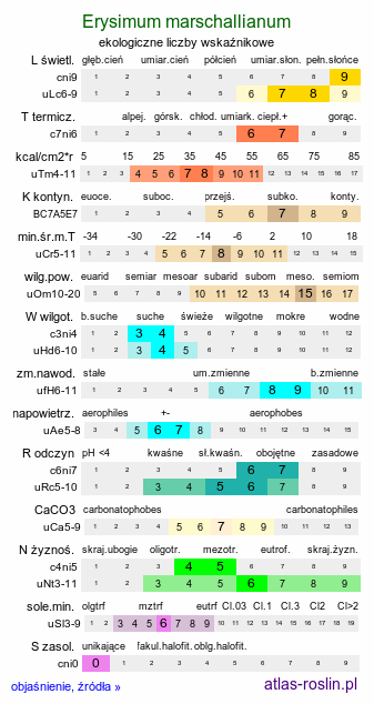 ekologiczne liczby wskaźnikowe Erysimum marschallianum (pszonak sztywny)