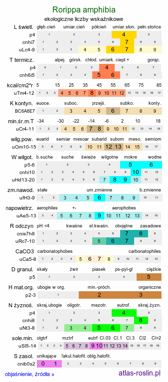 ekologiczne liczby wskaźnikowe Rorippa amphibia (rzepicha ziemnowodna)