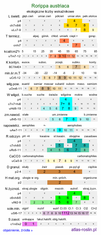 ekologiczne liczby wskaźnikowe Rorippa austriaca (rzepicha austriacka)