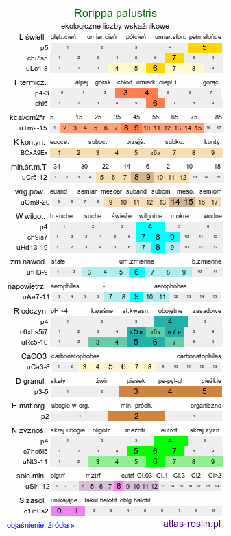 ekologiczne liczby wskaźnikowe Rorippa palustris (rzepicha błotna)