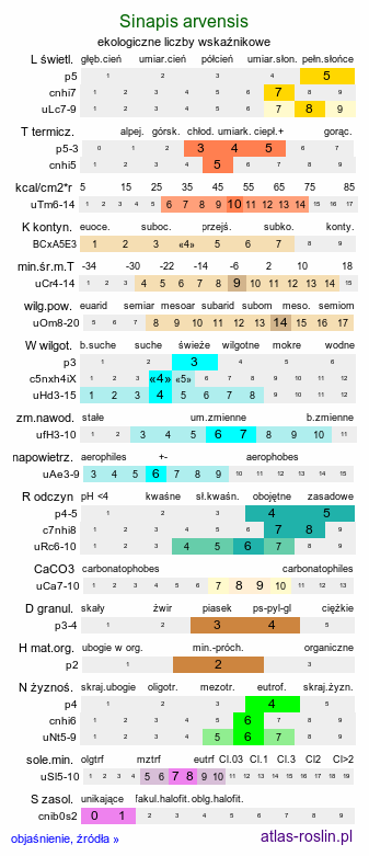 ekologiczne liczby wskaźnikowe Sinapis arvensis (gorczyca polna)