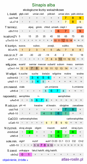 ekologiczne liczby wskaźnikowe Sinapis alba (gorczyca jasna)