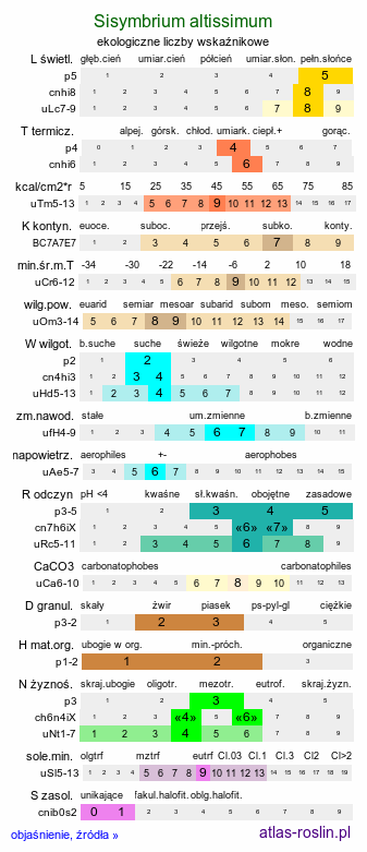 ekologiczne liczby wskaźnikowe Sisymbrium altissimum (stulisz pannoński)