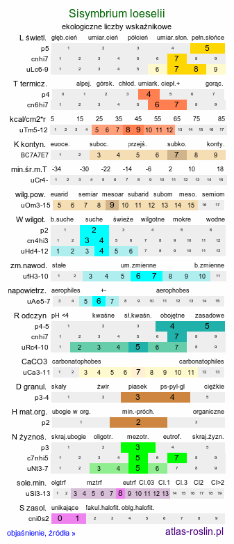 ekologiczne liczby wskaźnikowe Sisymbrium loeselii (stulisz Loesela)