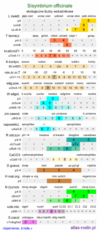 ekologiczne liczby wskaźnikowe Sisymbrium officinale (stulisz lekarski)