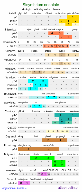 ekologiczne liczby wskaźnikowe Sisymbrium orientale (stulisz wschodni)