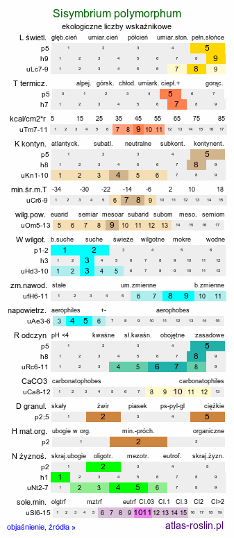 ekologiczne liczby wskaźnikowe Sisymbrium polymorphum (stulisz miotłowy)