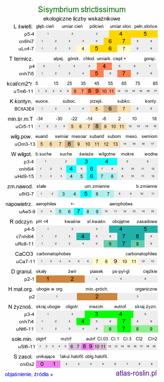 ekologiczne liczby wskaźnikowe Sisymbrium strictissimum (stulisz sztywny)