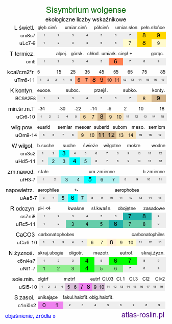 ekologiczne liczby wskaźnikowe Sisymbrium wolgense (stulisz nadwołżański)