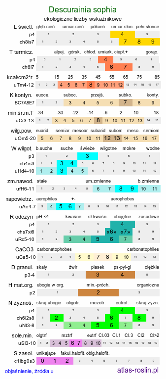 ekologiczne liczby wskaźnikowe Descurainia sophia (stulicha psia)