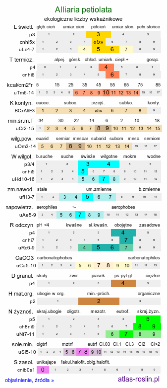 ekologiczne liczby wskaźnikowe Alliaria petiolata (czosnaczek pospolity)