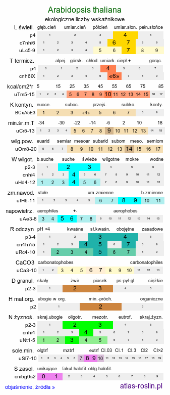 ekologiczne liczby wskaźnikowe Arabidopsis thaliana (rzodkiewnik pospolity)