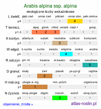 ekologiczne liczby wskaźnikowe Arabis alpina ssp. alpina (gęsiówka alpejska typowa)