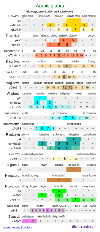 ekologiczne liczby wskaźnikowe Arabis glabra (wieżyczka gładka)