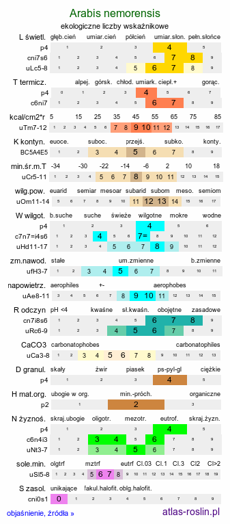 ekologiczne liczby wskaźnikowe Arabis nemorensis (gęsiówka Gerarda)