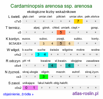 ekologiczne liczby wskaźnikowe Cardaminopsis arenosa ssp. arenosa (rzeżusznik piaskowy typowy)