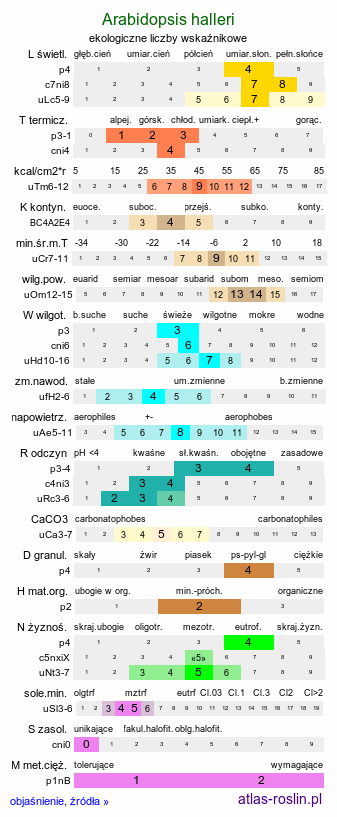 ekologiczne liczby wskaźnikowe Arabidopsis halleri (rzodkiewnik Hallera)