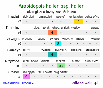 ekologiczne liczby wskaźnikowe Arabidopsis halleri ssp. halleri (rzodkiewnik Hallera typowy)