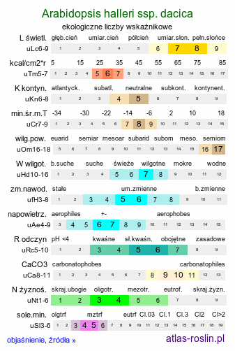 ekologiczne liczby wskaźnikowe Arabidopsis halleri ssp. dacica (rzodkiewnik Hallera dacki)