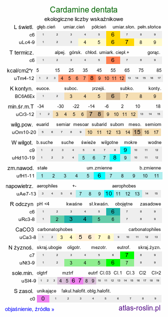 ekologiczne liczby wskaźnikowe Cardamine dentata (rzeżucha bagienna)