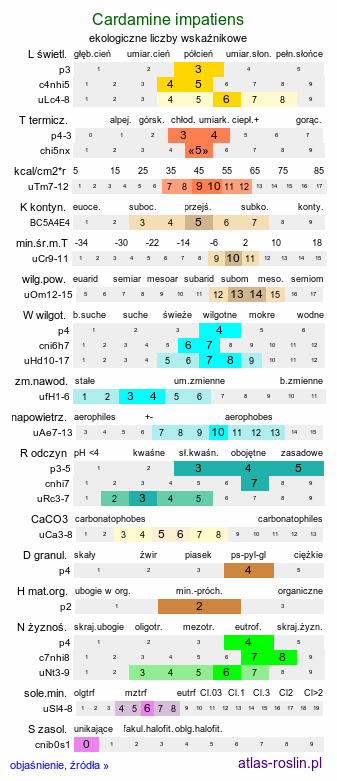 ekologiczne liczby wskaźnikowe Cardamine impatiens (rzeżucha niecierpkowa)