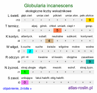 ekologiczne liczby wskaźnikowe Globularia incanescens (kulnik włoski)