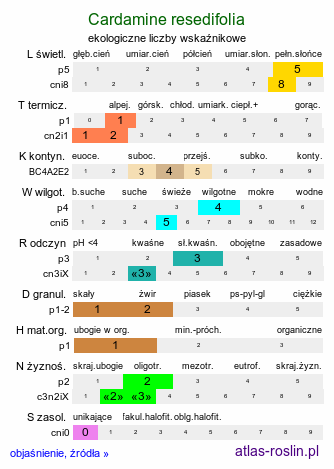 ekologiczne liczby wskaźnikowe Cardamine resedifolia (rzeżucha rezedolistna)
