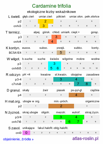 ekologiczne liczby wskaźnikowe Cardamine trifolia (rzeżucha trójlistkowa)