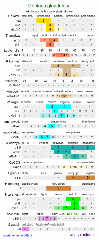 ekologiczne liczby wskaźnikowe Dentaria glandulosa (żywiec gruczołowaty)