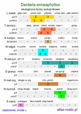 ekologiczne liczby wskaźnikowe Dentaria enneaphyllos (żywiec dziewięciolistny)