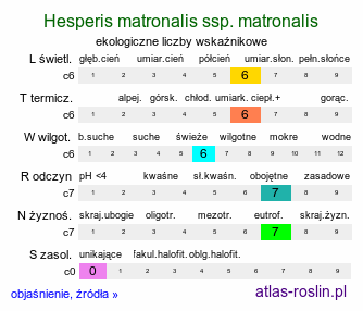 ekologiczne liczby wskaźnikowe Hesperis matronalis ssp. matronalis (wieczornik damski typowy)