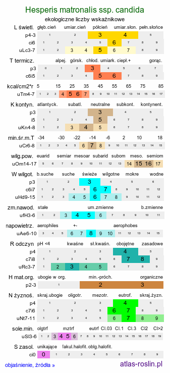 ekologiczne liczby wskaźnikowe Hesperis matronalis ssp. candida (wieczornik damski biały)